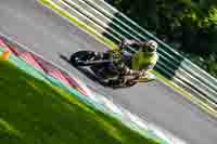 cadwell-no-limits-trackday;cadwell-park;cadwell-park-photographs;cadwell-trackday-photographs;enduro-digital-images;event-digital-images;eventdigitalimages;no-limits-trackdays;peter-wileman-photography;racing-digital-images;trackday-digital-images;trackday-photos